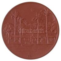 Németország DN "Az élet tisztelete - Albert Schweitzer 1875-1965" kerámia emlékérem díszto...