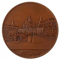 Berán Lajos (1882-1943) 1931. "BUDAPESTI EMLÉK" Br emlékérem sérült ÁPV tokban (79mm) T:2