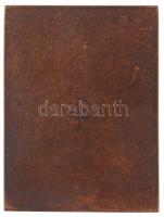 1969. "A Tanácsköztársaság 50. évfordulójára, 1919-1969 / A jubileumi munkaversenyben kitűnt sz...