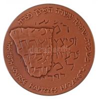 Izrael DN "Nazareth" Br emlékérem műanyag tokban (58mm) T:1
Israel ND "Nazareth"...