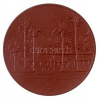 Németország DN "Az élet tisztelete - Albert Schweitzer 1875-1965" kerámia emlékérem díszto...