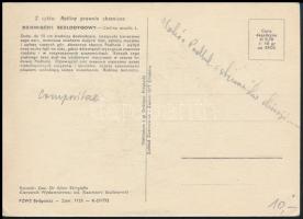 Lengyelország 1964 Poland 1964