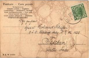 1906 Art Nouveau lady. B.R.W. 10490. Raphael Kirchner style Emb. litho art postcard (fl)