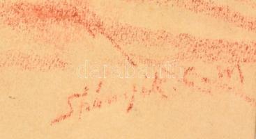 Spányik Kornél (1858-1943): Kisbaconi Benedek Márta portréja. Kréta, papír, kissé foltos, jelzett, k...