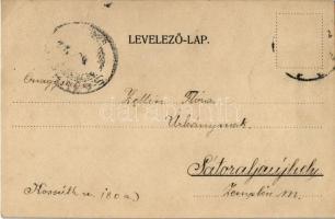 K. Pálmay Ilka. Kossak felvétele  (EK)