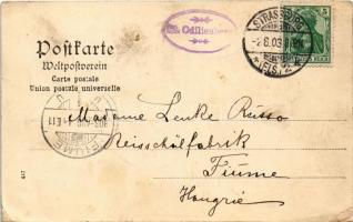 1903 Vosges, Die Vogesen; Odilienberg / Mont Ste Odile (small tear)