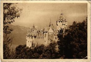 1942 Montagna, Montan (Südtirol); Castello di Enn / castle (tear)
