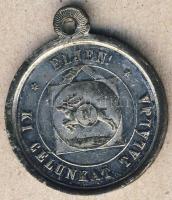 Cca 1800-as évek vége "Ferenc József-Éljen! Ki célunkat találja!" ezüstözött Zn lövész díj...