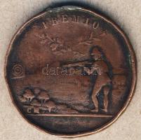 Olaszország Cca. 1800-as évek vége "Premio"  Br lövész díjérem T:2 fny.