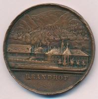 Ausztria 1844. "János főherceg, Stájerországi Mezőgazdasági Társaság / Brandhof látképe" B...