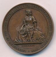 Német Államok / Brandenburg-Poroszország 1844. "Német ipari kiállítás Berlinben" Br emlékérem. Szign: Lorenz, Schilling (50mm) T:1- German States / Brandenburg-Prussia 1844. "Erinnerung an die Ausstellung Deutscher Gewerbserzeugnisse zu Berlin 1844" Br medallion. Sign: Lorenz, Schilling (50mm) C:AU