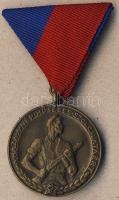 DN "A haza, a nép hűséges szolgálatáért" Br kitüntetés, szalaggal T:2