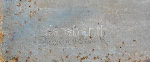 Reinprecht Károly (1903-?): Balatonparti adonisz. Olaj, vászon, jelzett, sérült, 89,5x59,5 cm