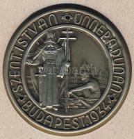 1934. "Szt.István ünnep a Dunán" felcsavarozható plakett T:2