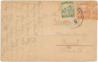 1920 Vásárosnamény, Tomcsányi kastély  (fa)