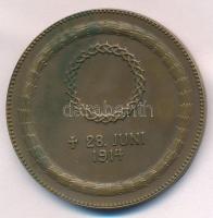 Ausztria 1914. "Ferenc Ferdinánd főherceg / 1914. június 28." Br emlékérem. Szign.: Arnold...
