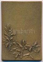 ~1900. "Idős férfi" Br plakett "Huguenin" gyártói jelzéssel (37x54mm) T:2
~1900...