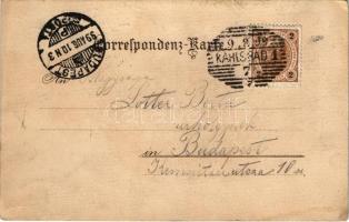 1899 Karlovy Vary, Karlsbad; Kaiserbad / spa, bath. Ant. Seberts Wwe. 6061. litho (EK)