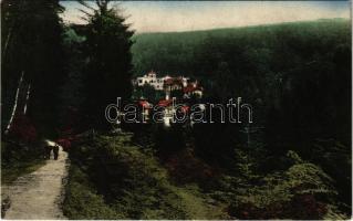 1927 Stószfürdő, Stoósz-fürdő, Kúpele Stós; Pohled z dálky z Cesty rusalek / út, fürdő látképe / road, spa, bath, general view