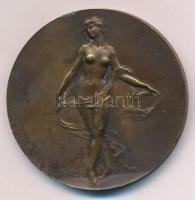 Franciaország ~1900. "Meztelenül táncoló emberek / női akt" peremén jelzett Br érem. Szign...