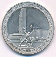 1970. "ENSZ 25. évfordulója 1945-1970" jelzetlen Ag emlékérem (13,93g/31,5mm) T:1- (eredet...