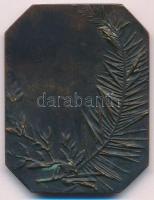 ~1930. "Festőnő" Br emlékplakett. Szign.: CAL(?) (52x40mm) T:2-