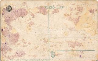 Zsolna, Sillein, Zilina; pályaudvar, vasútállomás. Vasúti levelezőlapárusítás 25. sz. 1916. / railwa...