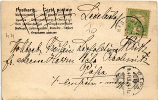 1904 Nagymegyer, Velky Meder, Calovo; utcakép hintóval / street view with carriage. photo (EK)