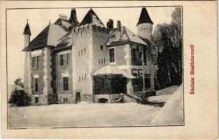 Mezőlaborc, Medzilaborce; Lovag Skoda kastély télen. Schönfeld Sámuel kiadása / castle in winter