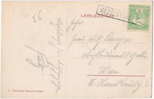 Mezőlaborc, Medzilaborce; Lovag Skoda kastély télen. Schönfeld Sámuel kiadása / castle in winter