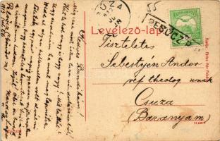 1913 Pelsőc, Pelsücz, Plesivec; Korona vendéglő, étterem, utcakép. W. L. (?) No. 1100. Pártos Mór ki...