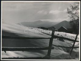 1941 A kárpátaljai Volóc vidéke, Vadas Ernő (1899-1962) fényképész művészfotója a visszatérés utáni területről, hátoldalon feliratozva, 17,5×23,5 cm