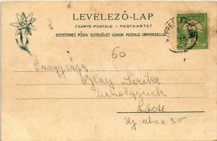 Szepesváralja, Spisské Podhradie; Residenz des Zipser Bischofs, Domkapitel u. Ruinen des Zipser Schl...