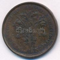 Kanada / Brit Adminisztráció 1837-1838. 1S Cu T:2- kis ph. 
Canada / British Administration 1837-18...