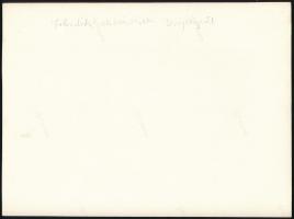 1938 Felvidéki, nemzetiszín karszalagos önkéntesek segítenek a vasútvonal helyreállításában, megerős...