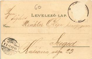 1899 Pancsova, Pancevo; Oberstadt, Serb. gr. or. Christi Verkl. Kirche / látkép, Szerb ortodox templ...