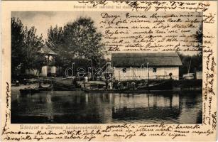 1908 Boró, Borovo (Vukovár); Berovai halászcsárdánál hal eladás / restaurant, fish tavern, inn, fish selling