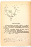 Erdei termékek gyűjtése és feldolgozása. Szerk.: Bondor Antal. Bp., 1983, Mezőgazdasági. Kiadói papí...