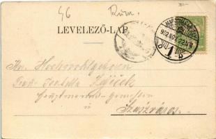 1902 Marosvásárhely, Targu Mures; Fő tér, üzletek, piac. Petróczy G. kiadása / main square, shops, m...