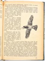 J. P. Szpangenberg: Egy természetbúvár feljegyzései. Bp., 1953., Művelt Nép. Átkötött félvászon-köté...