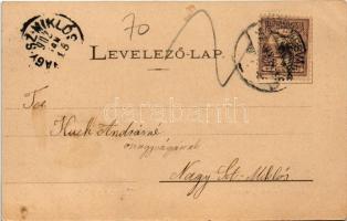 1902 Temesvár, Timisoara; Jenő herceg utca, Spitzer üzlete. Raschka kiadása / street view, shops (EK...