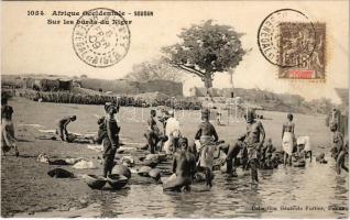 Sur les bords du Niger / the banks of the Niger