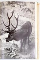 Philipp Karl Meran: Zwischen Weckruf und Strecke. Graz-Stuttgart,1974,Leopold Stocker Verlag. Német ...