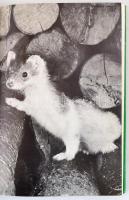 Philipp Karl Meran: ... und übrig blied die Jagd. Zwischen Weckruf und Strecke. Graz,1976, Leopold S...