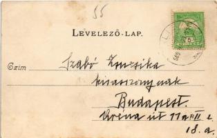 1909 Pilis, Báró Nyáry kastély. Seefehlner J. L. kiadása (EK)