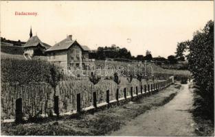 1917 Badacsony, Szent Donát kápolna, utca, szőlőskertek villával. Keresztény Fogyasztási Szövetkezet kiadása