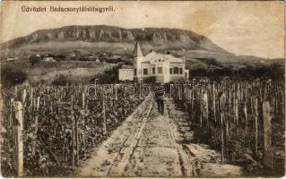 1918 Badacsonylábdihegy (Badacsonytördemic), villa, szőlő. Keresztény Fogyasztási Szövetkezet kiadása (EB)