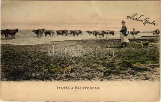 Balaton, Itatás a Balatonban, magyar folklór. D.K.F.E. 904. (EK)