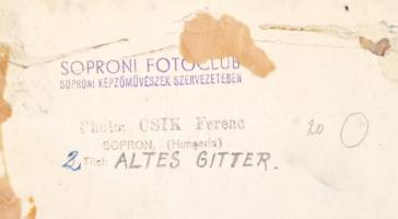 cca 1950 Csík Ferenc (1894-1984) soproni fotóművész: Régi korlát c. vintage alkotása. Pecséttel jelz...