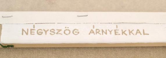 Dévényi János (1956-): Négyszög árnyéka (2018.) Akril, vászon, jelzett a hátoldalán, keretben, 50×70...